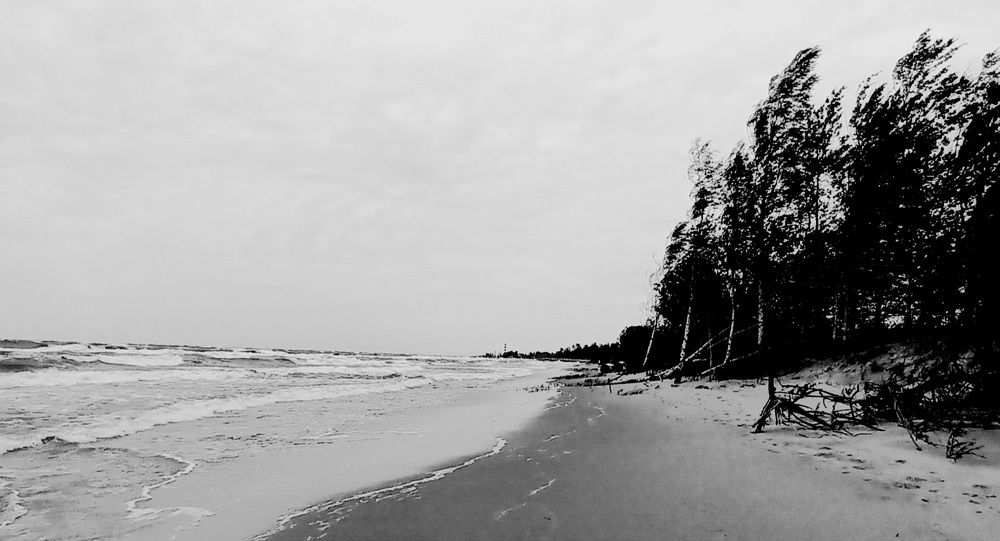 Фотография автора Maks Lanister