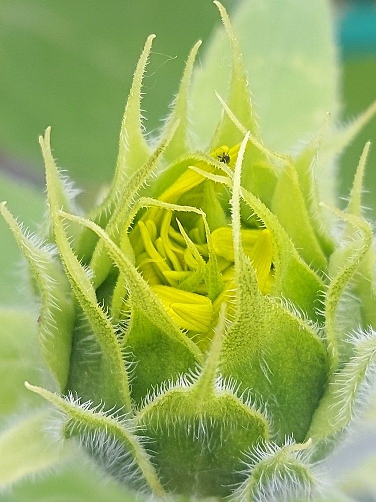 Photograph by Елена Кирикова