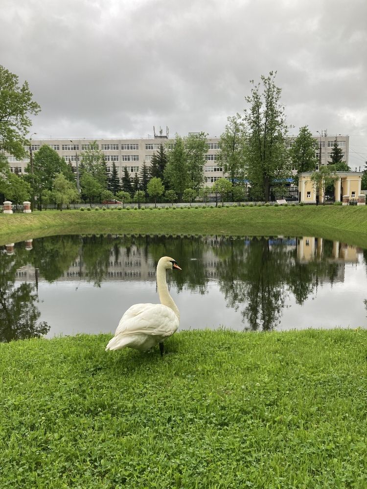 Photograph by Ксения Березкина