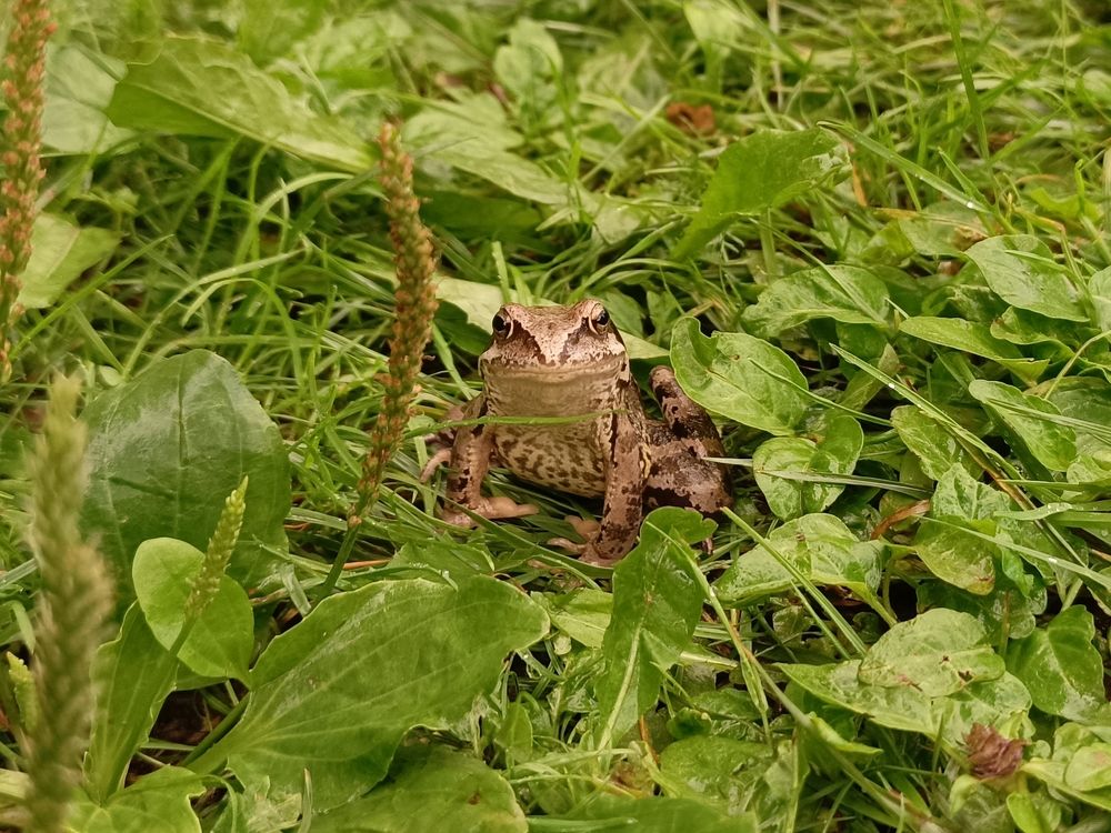 Фотография автора Андрей Занкович