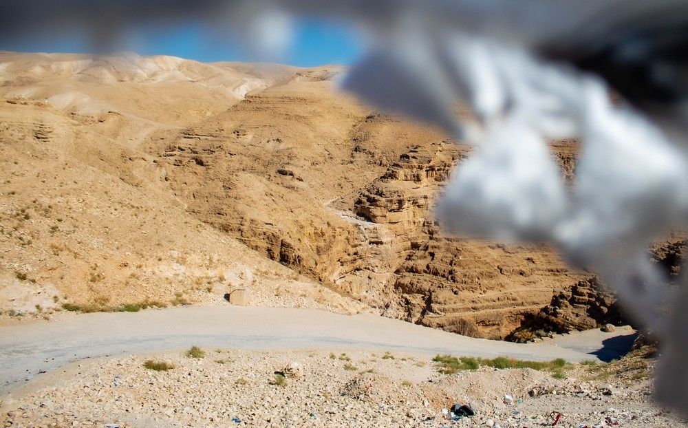 Photograph by Grădinaru Catalin