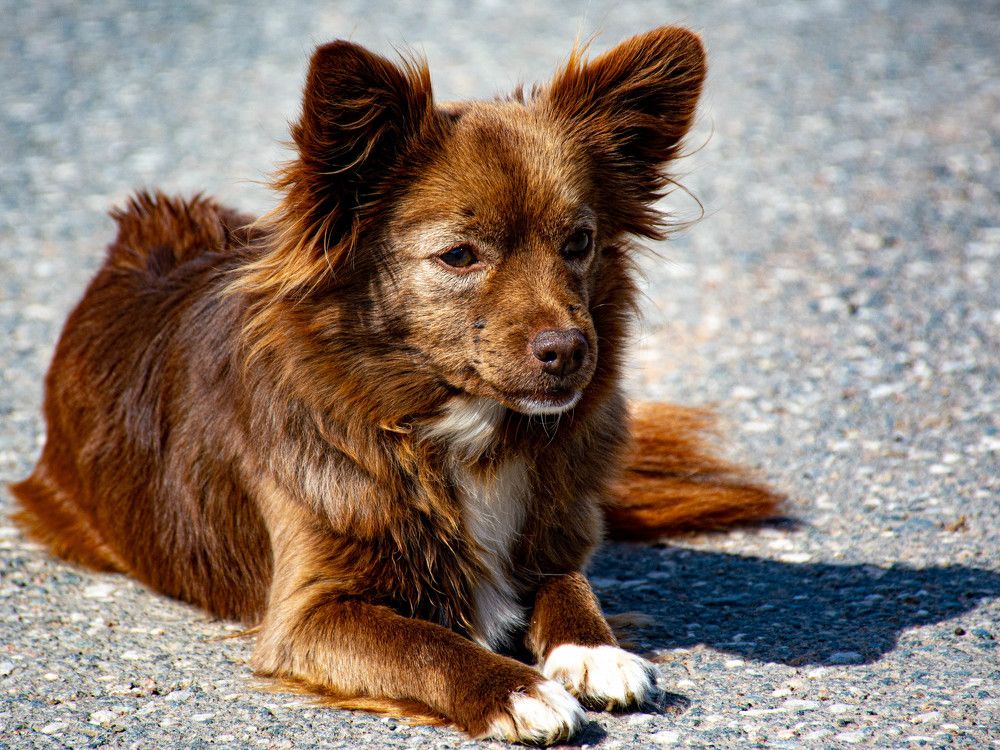 Photograph by Людмила