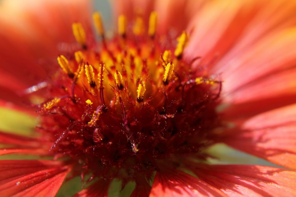 Photograph by Сироткина Нина