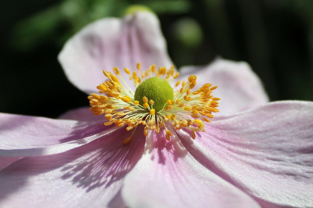 Photograph by Сироткина Нина