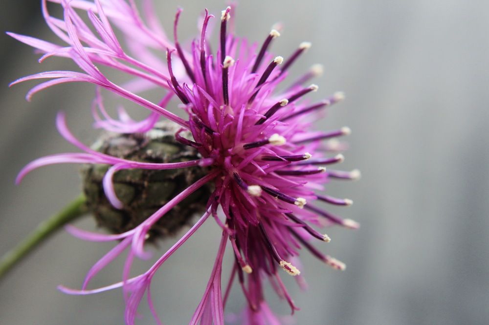 Photograph by Сироткина Нина