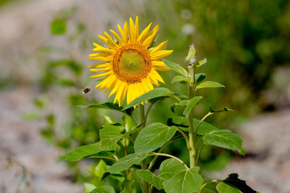 Photograph by Владимир Говоров