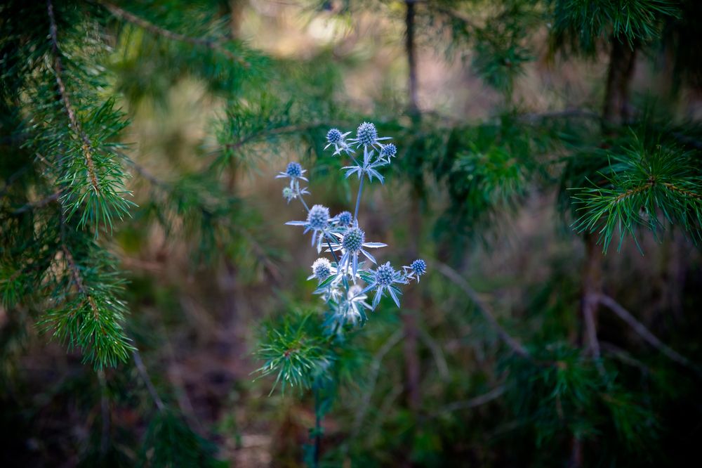 Photograph by Владимир Говоров
