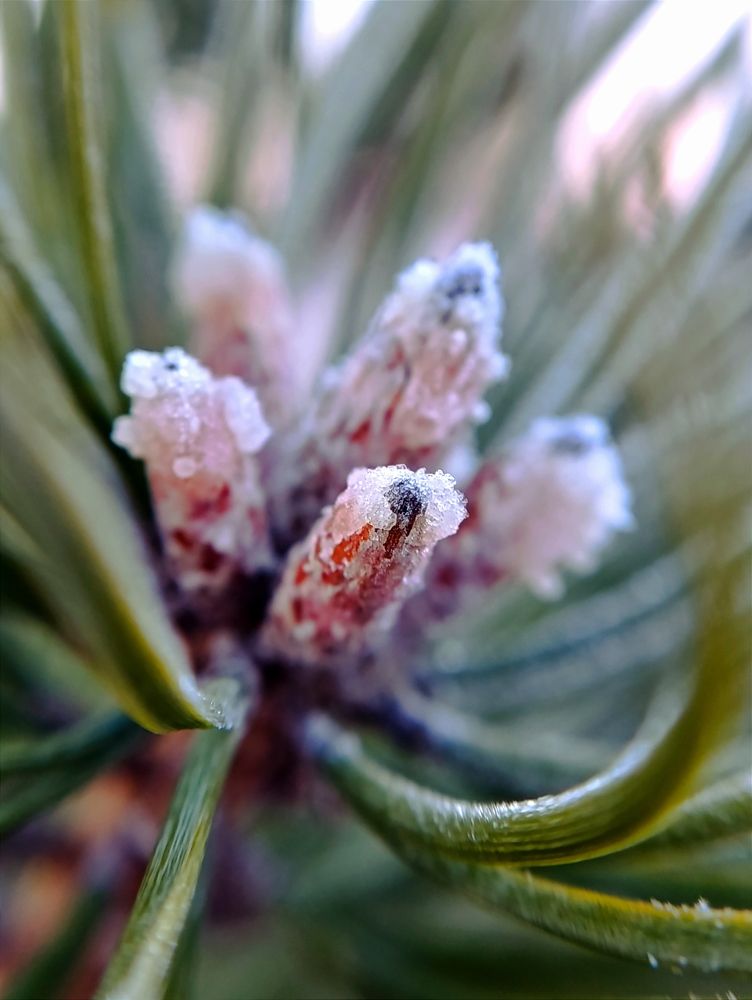 Photograph by Светлана Таркан