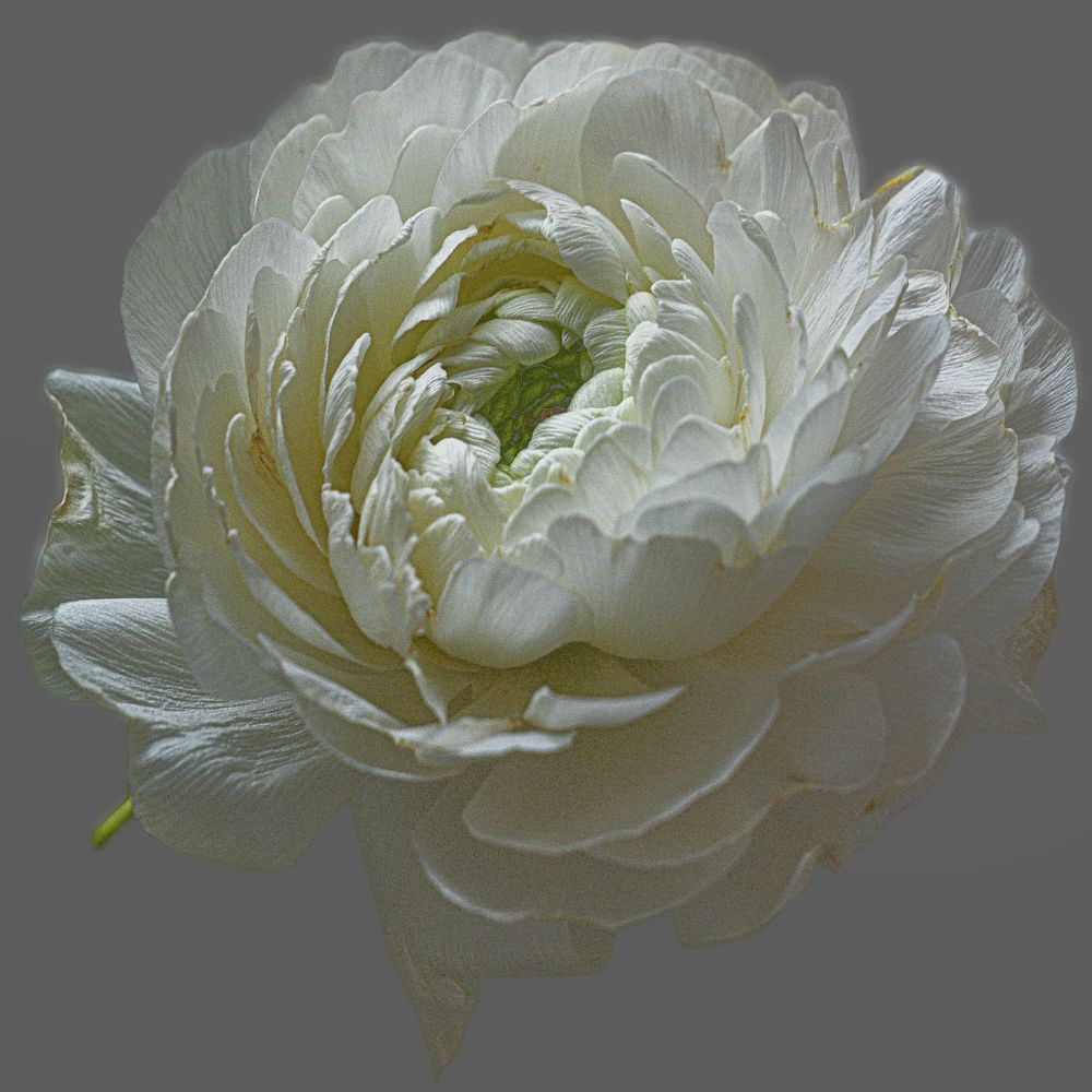 Фотография автора Ольга Антанайтене