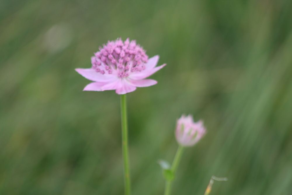 Photograph by Глеб Мацак