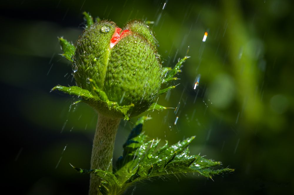 Photograph by Владимир Говоров