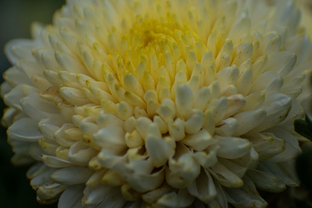 Фотография автора Aлексей Игнатьев