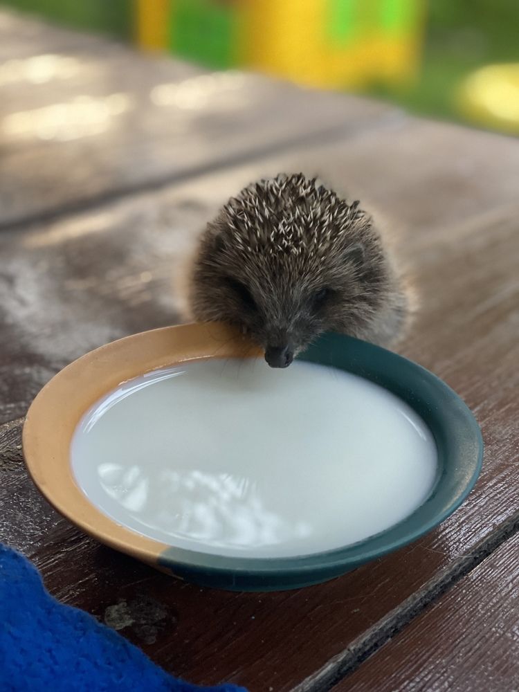 Photograph by Алла Кочергина