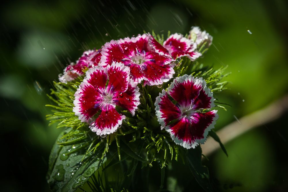 Photograph by Владимир Говоров