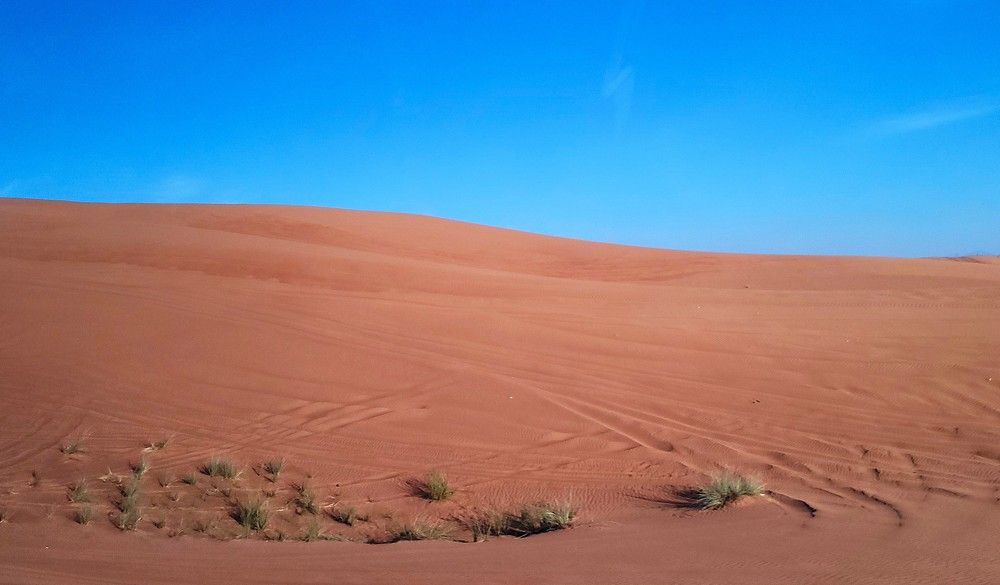 Photograph by Метушова Анна