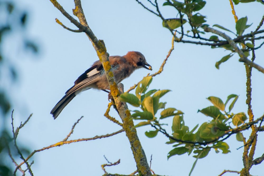 Фотография автора Aлексей Игнатьев