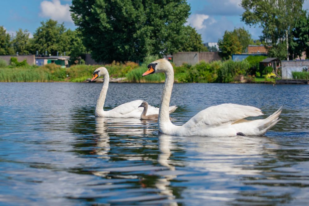 Фотография автора Aлексей Игнатьев