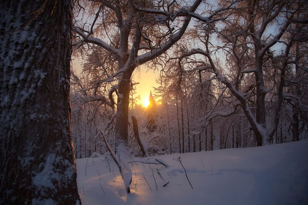 Photograph by Олег Раков