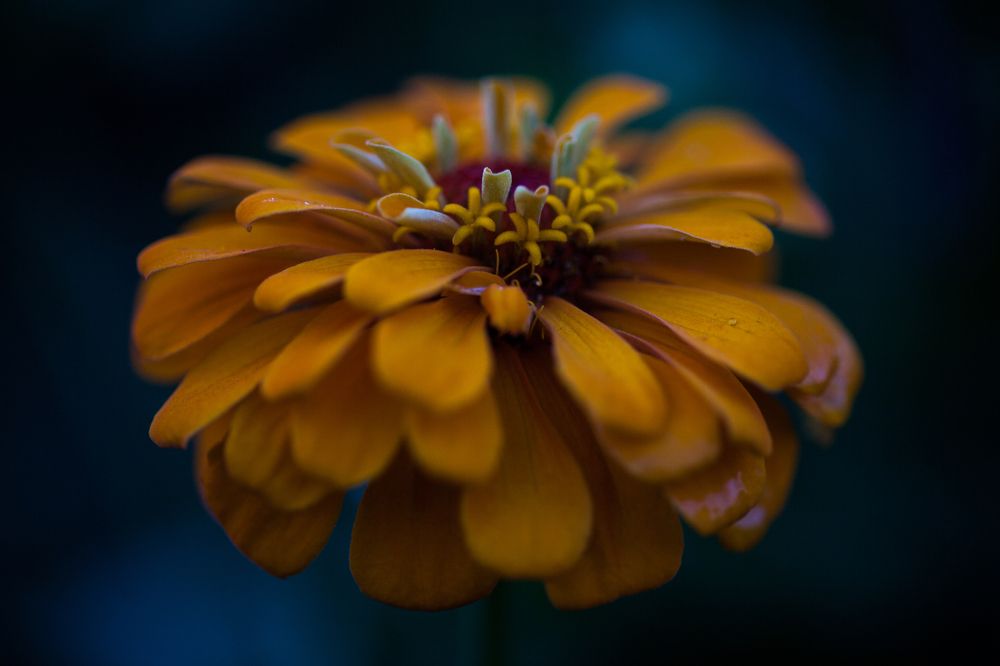 Фотография автора Юрий Кульмяков