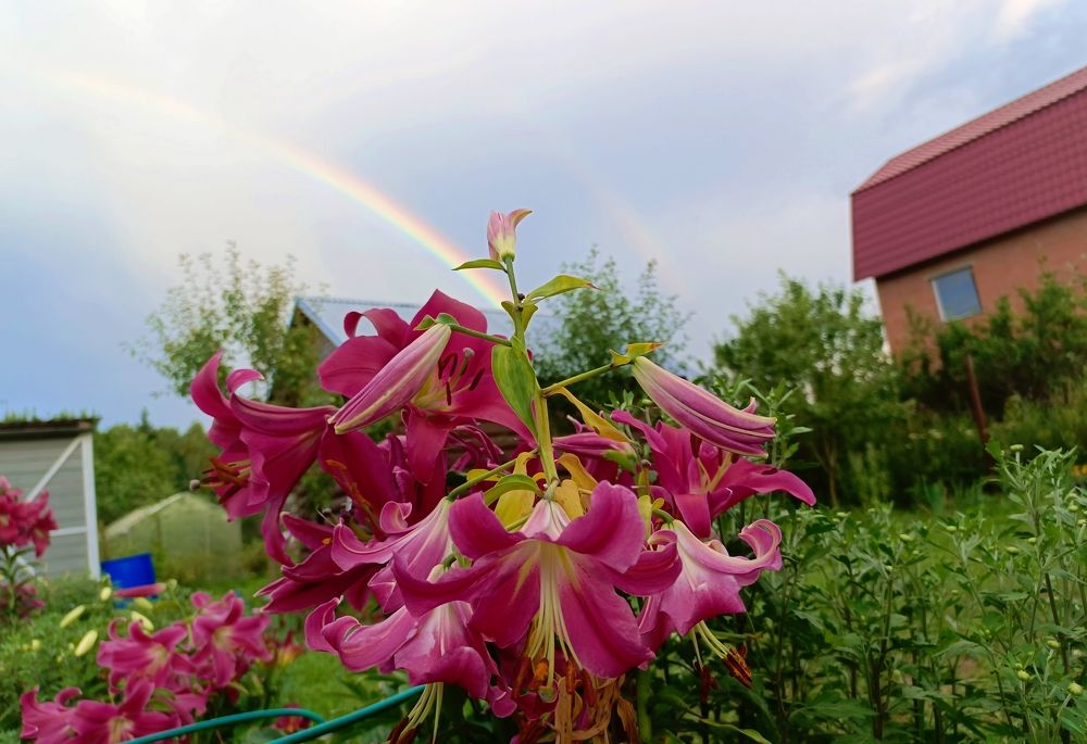 Фотография автора Андрей Занкович
