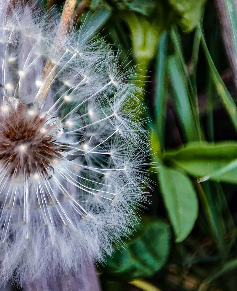 Photograph by Татьяна Радченко