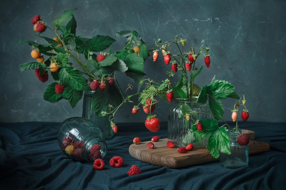 Photograph by Юлия Яремко