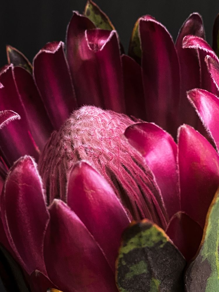 Photograph by Дарья Махнёва