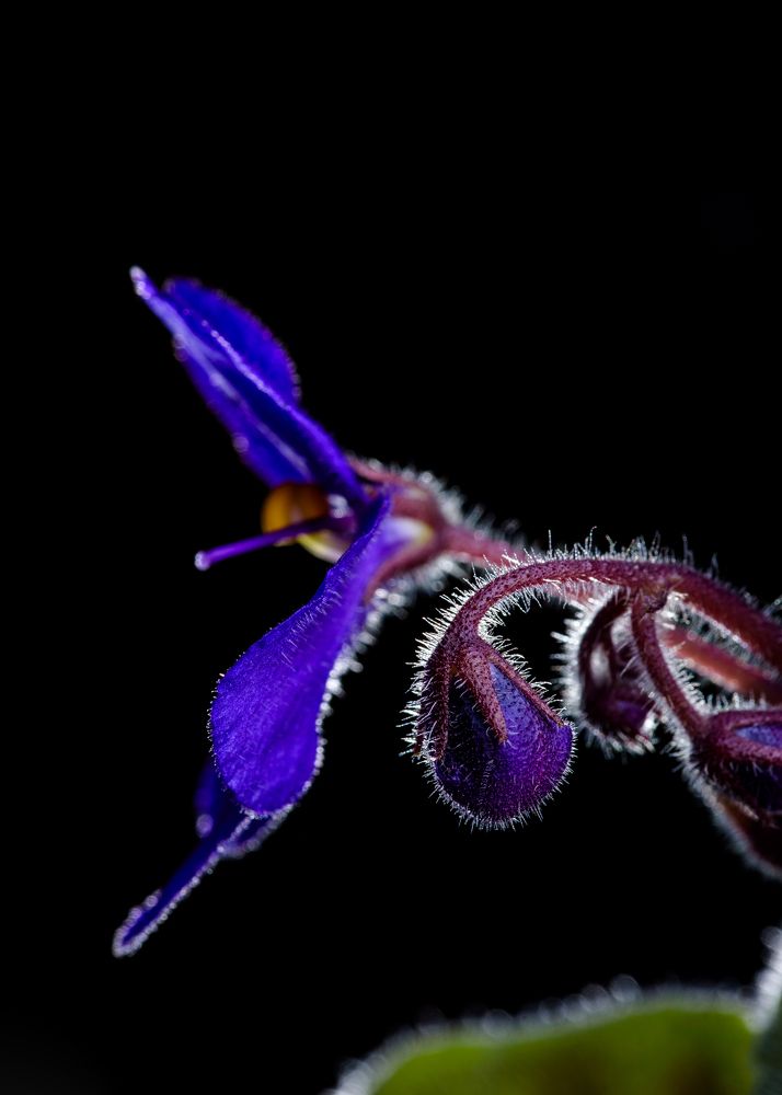 Фотография автора Николай Гришин