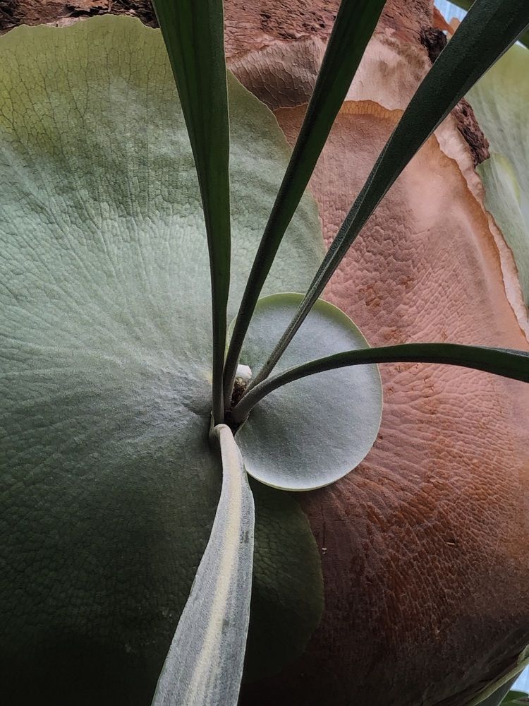 Photograph by Мария Бессмертная