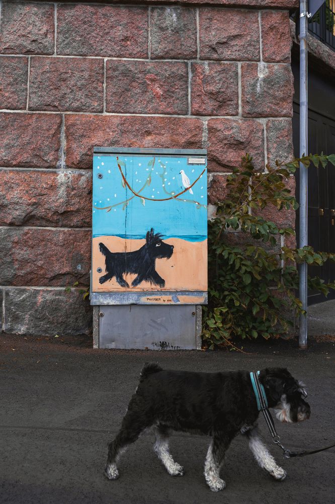 Photograph by Nikolay Surovtsev