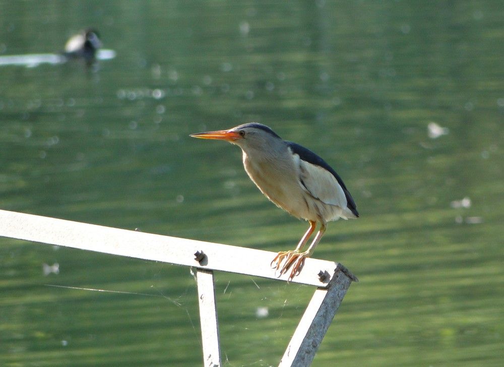 Photograph by Оксана Архипова