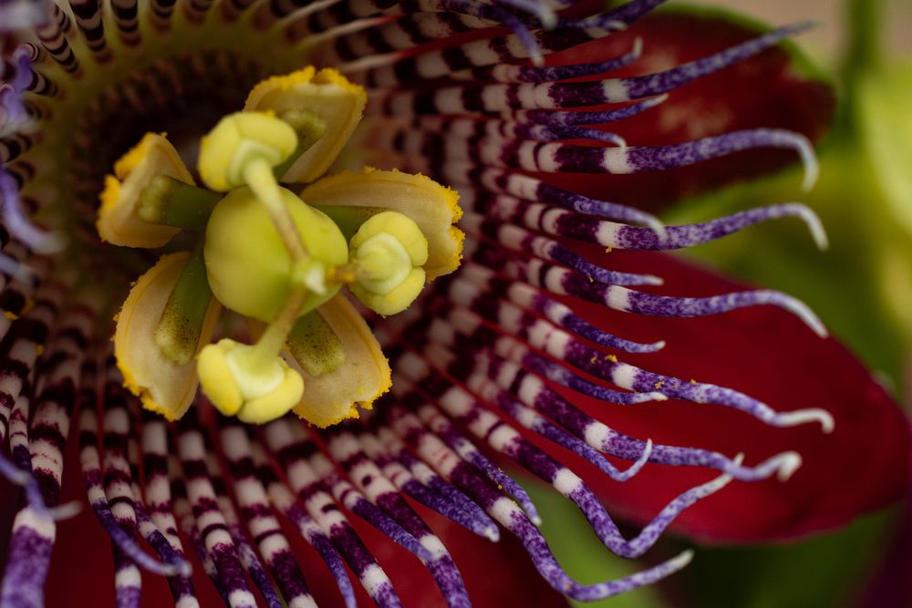 Фотография автора Maichel de Paula