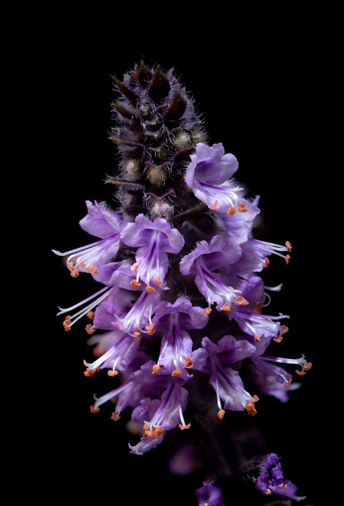 Фотография автора Maichel de Paula