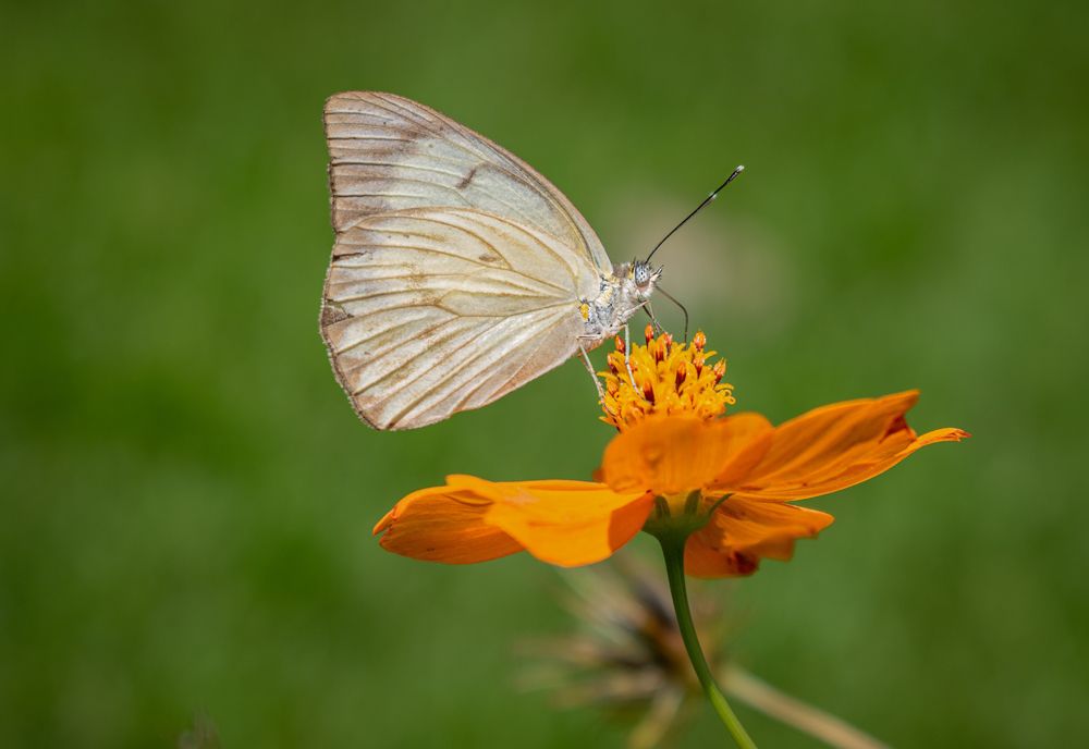 Фотография автора Maichel de Paula