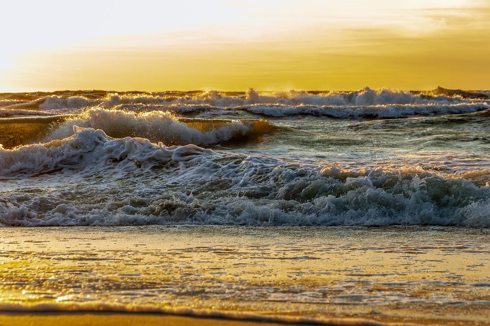 Золотые брызги моря...