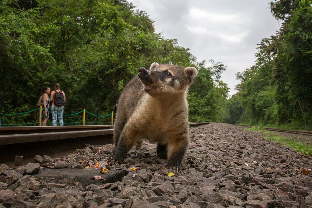Photograph by Алексей Карташов