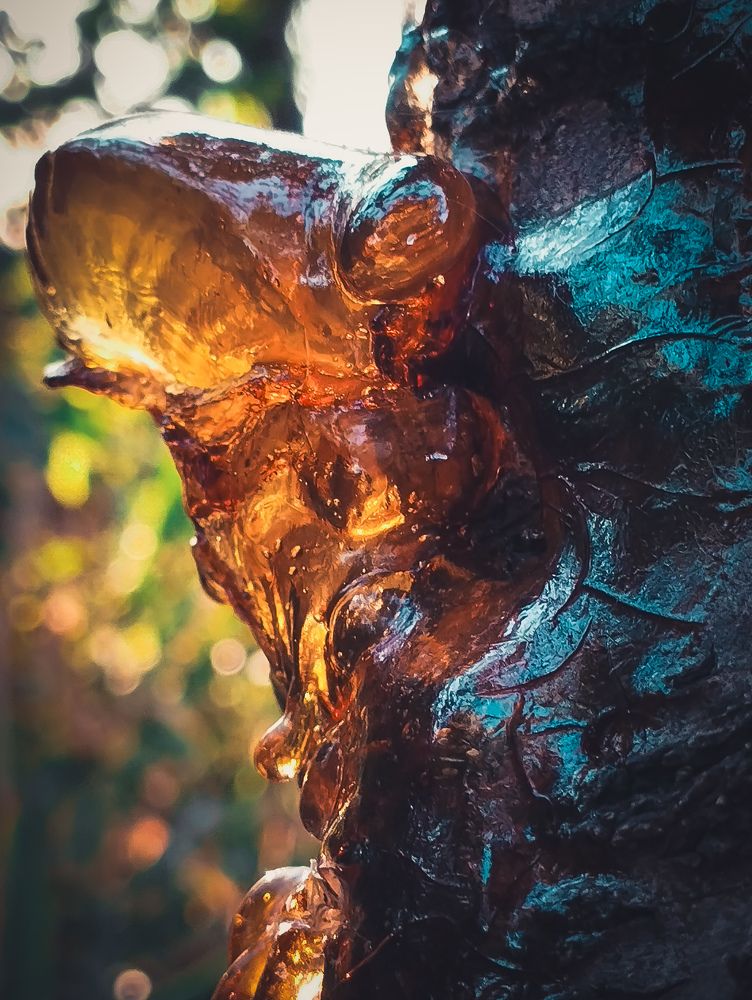 Photograph by Виктория Дудкина