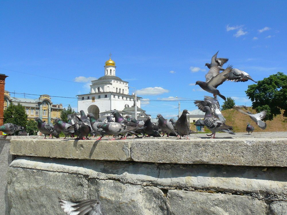 Фотография автора Анатолий Борисов