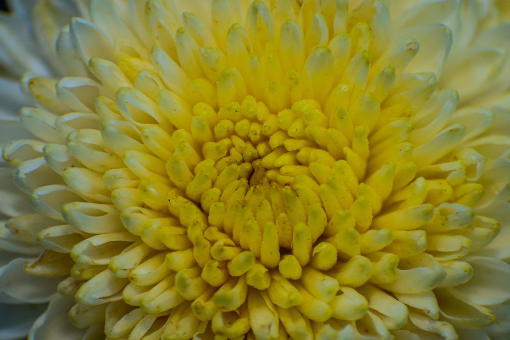 Фотография автора Aлексей Игнатьев