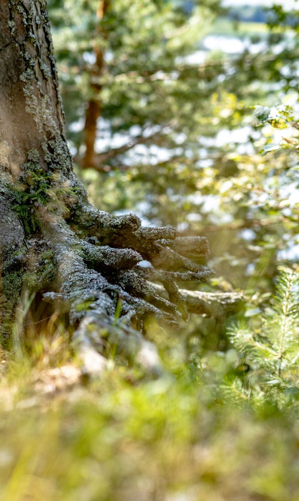 Photograph by Воробьёв Константин