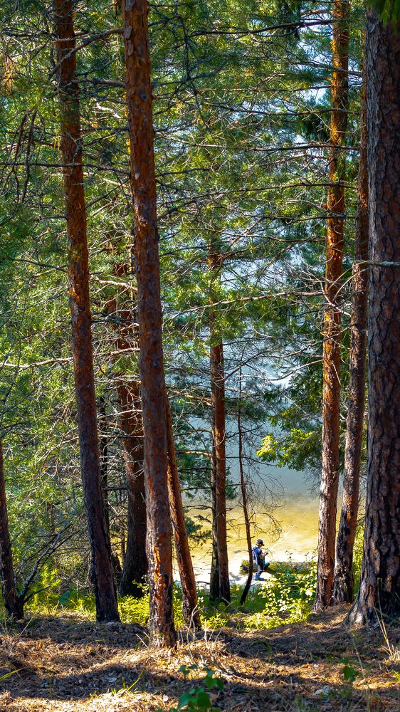 Photograph by Воробьёв Константин