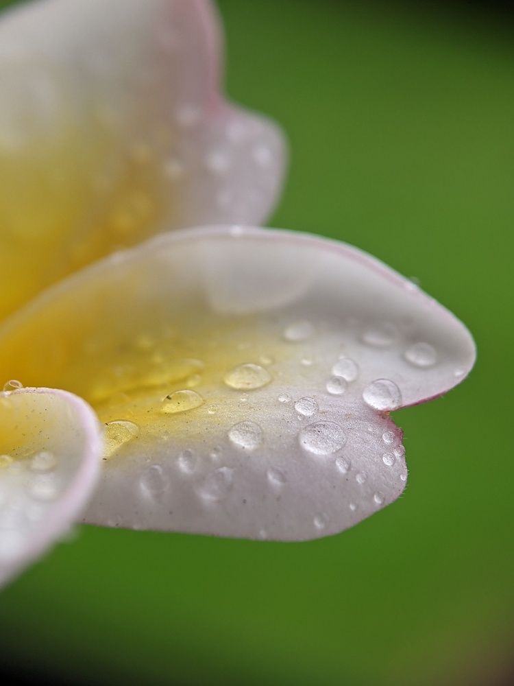 Photograph by Sai Krishna