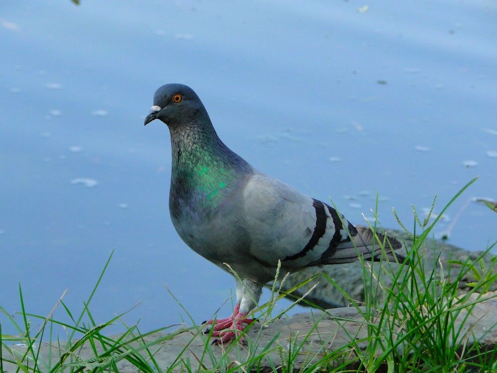 Photograph by Оксана Архипова