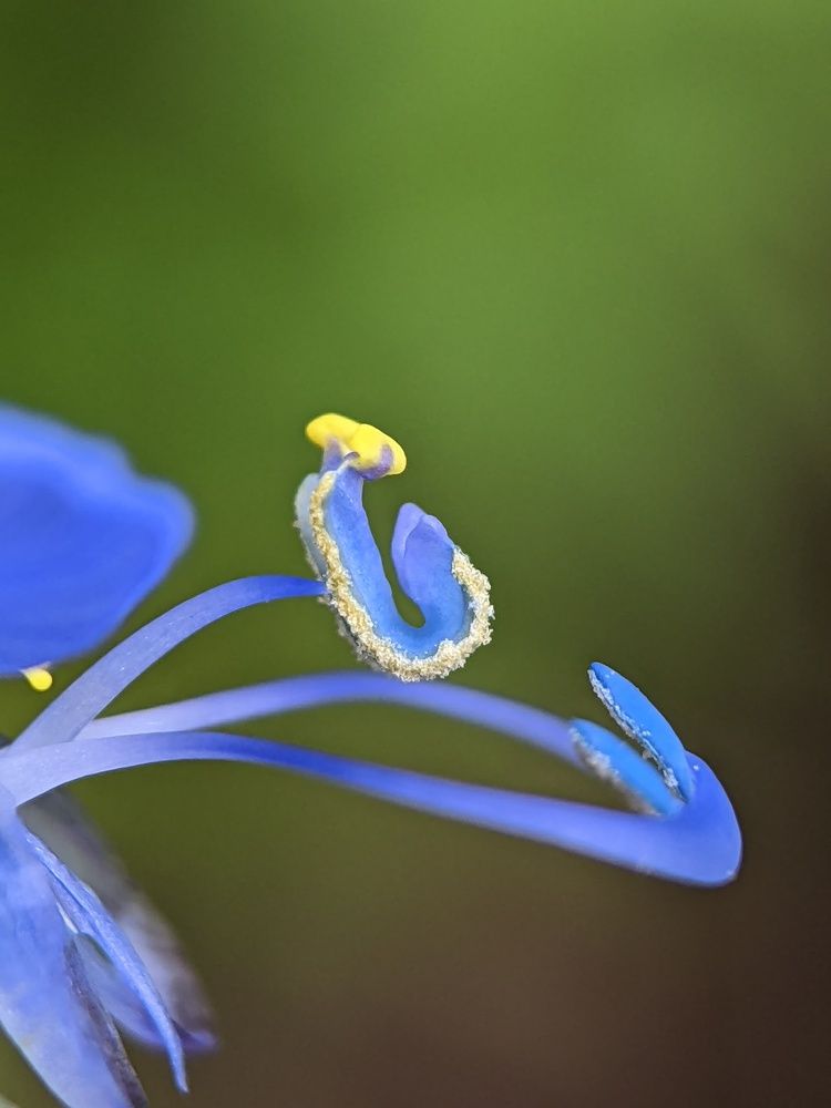 Photograph by Sai Krishna