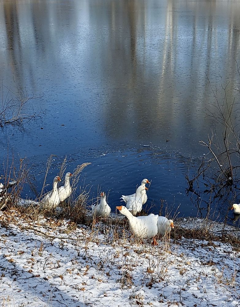 Photograph by Мария