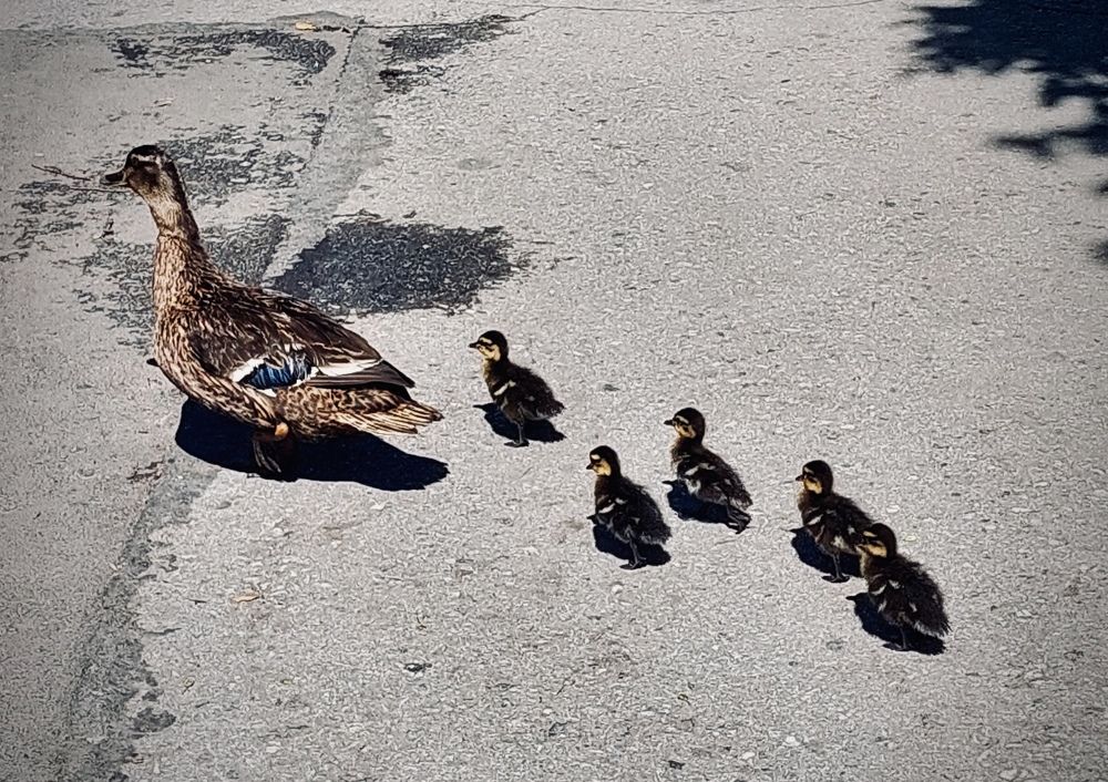 Photograph by Мария