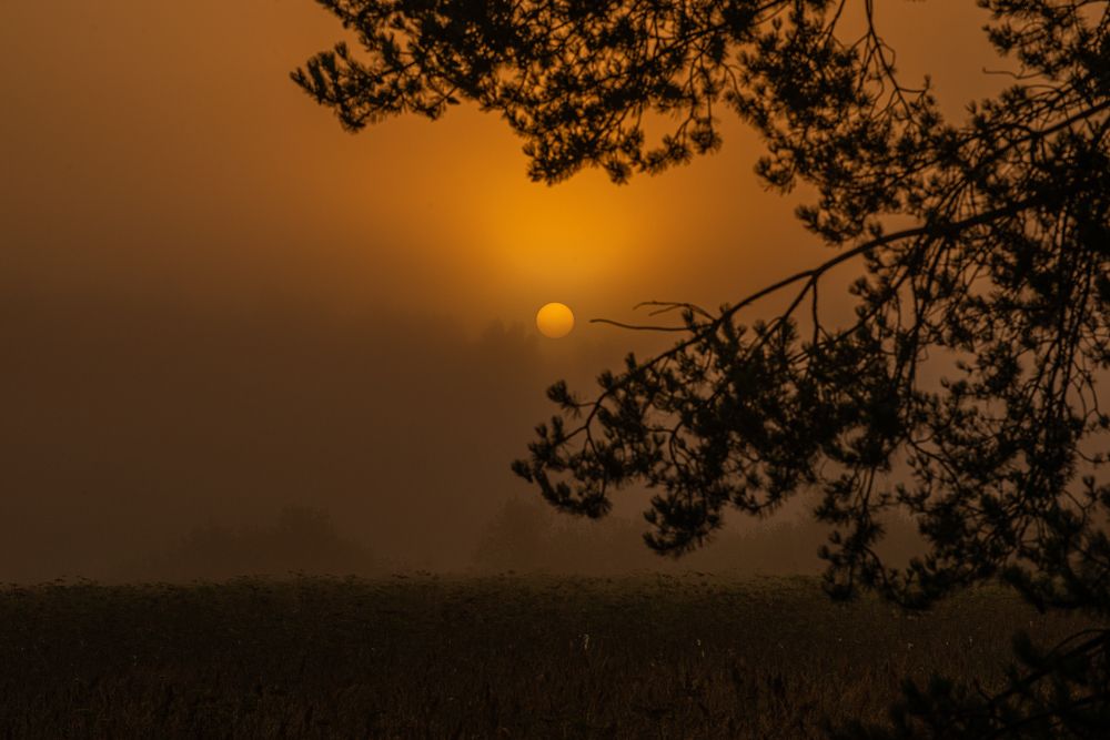 Фотография автора Aлексей Игнатьев