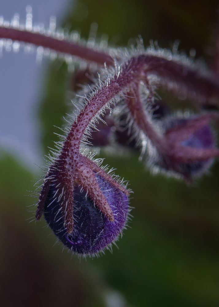Фотография автора Николай Гришин