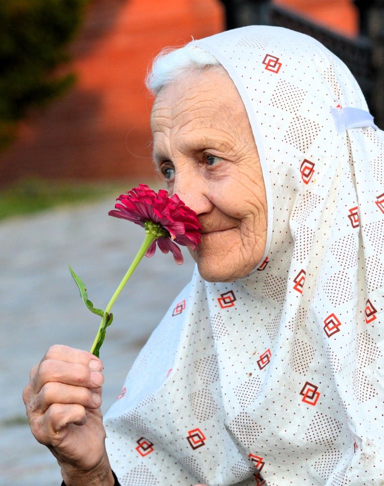Фотография автора Алена Богданова