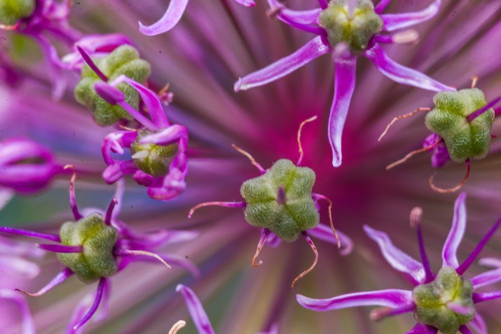 Photograph by Илья Чирков